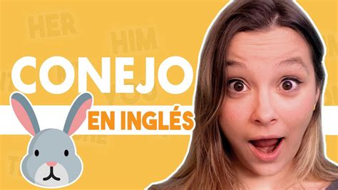 como se dice conejo en inglés|el conejo meaning.